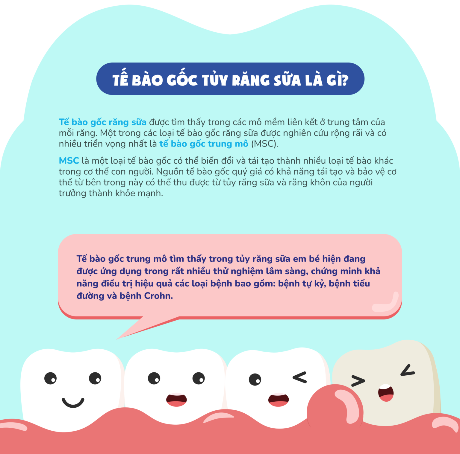 WEBSITE_TUY-RANG-SUA_01-1536x1518