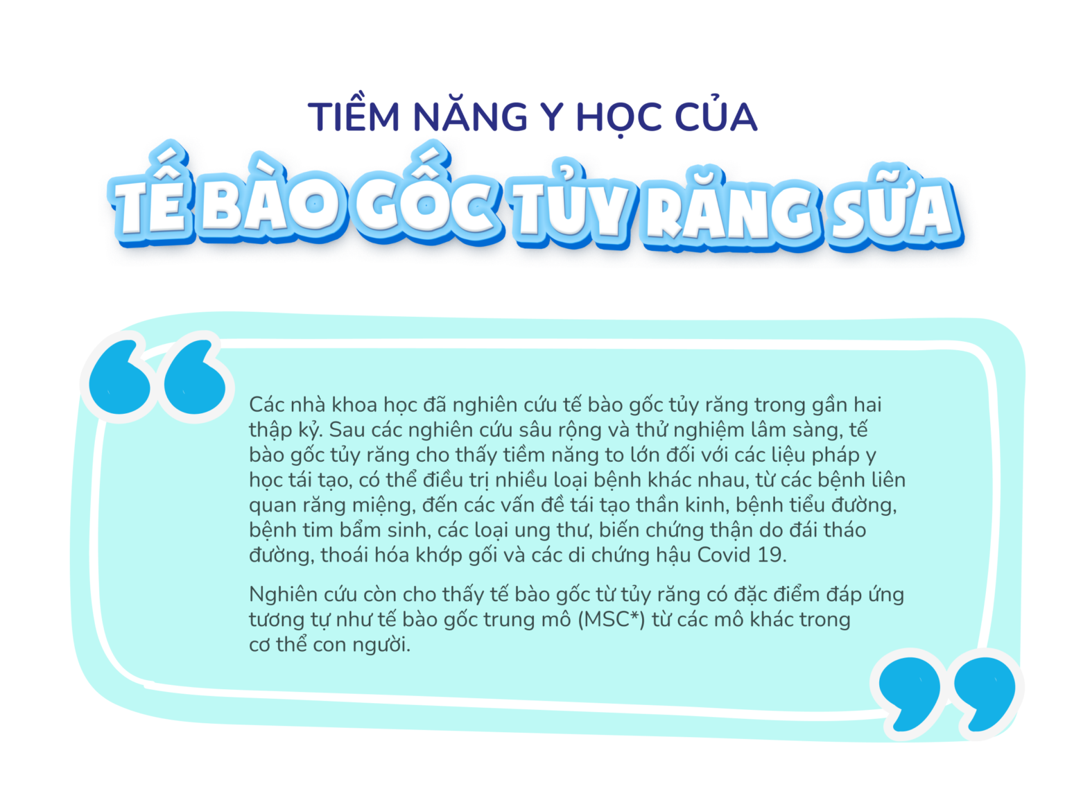 WEBSITE_TUY-RANG-SUA_03-1536x1151